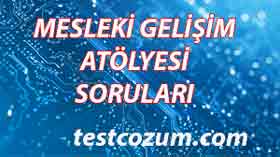Mesleki Gelişim Atölyesi Dersi Soruları